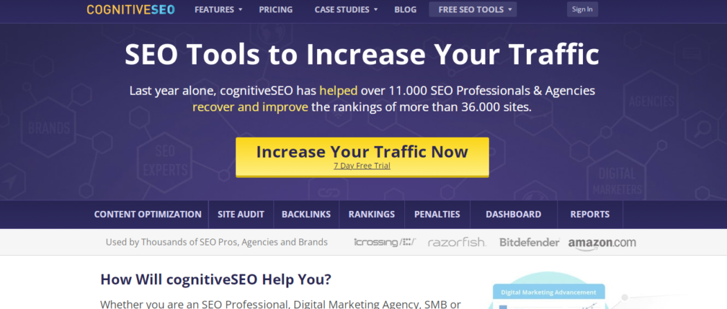 CognitiveSEO Website Homepage