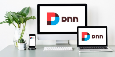 DNN Themes: A Comprehensive Guide To Selecting Perfect Ones