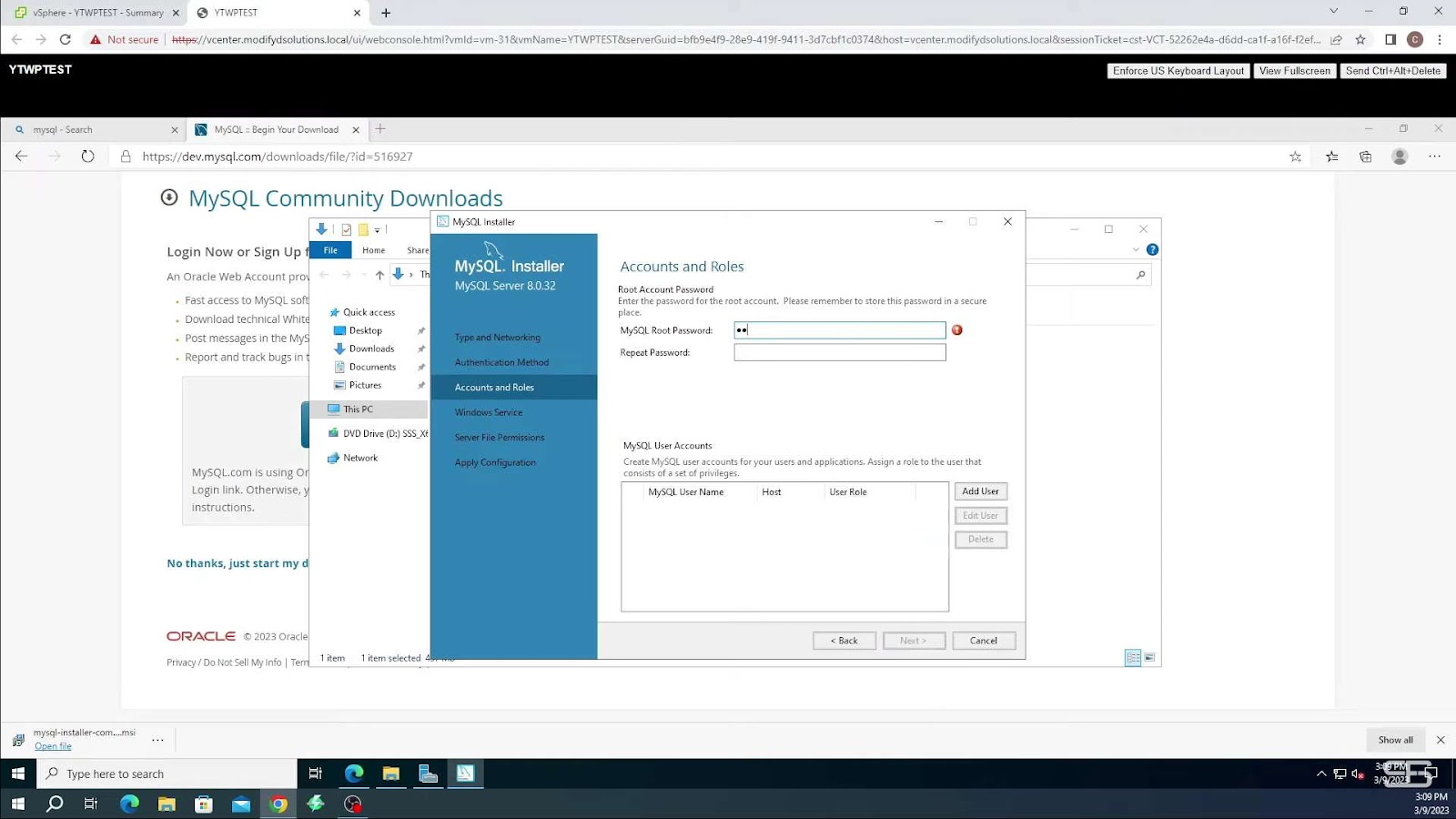 Enhance Your WordPress Experience with IIS Hosting